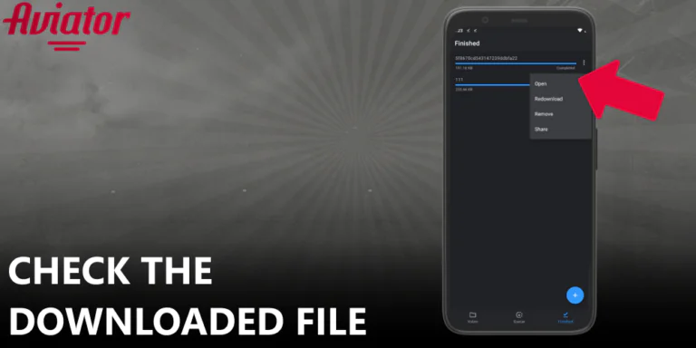 Check the downloaded Aviator installation file